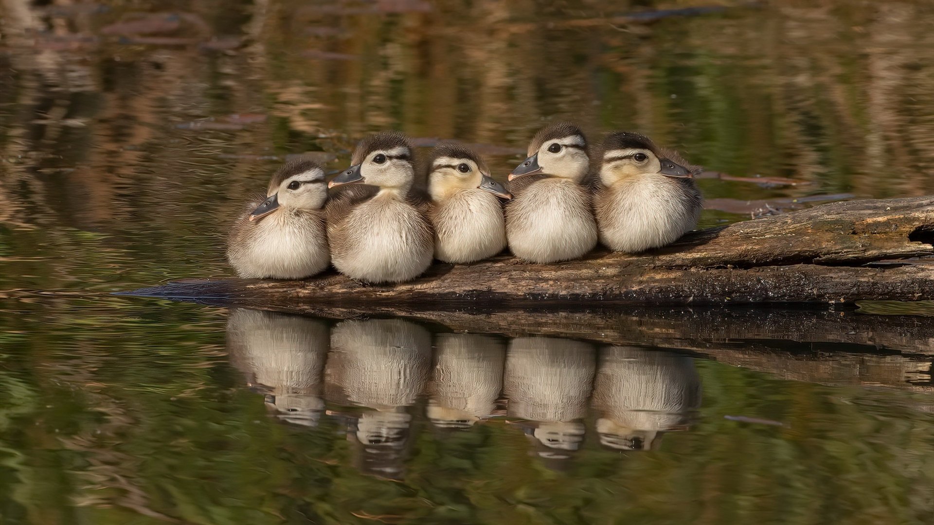 新闻中心推动企业文化建设，企业文化建设报道